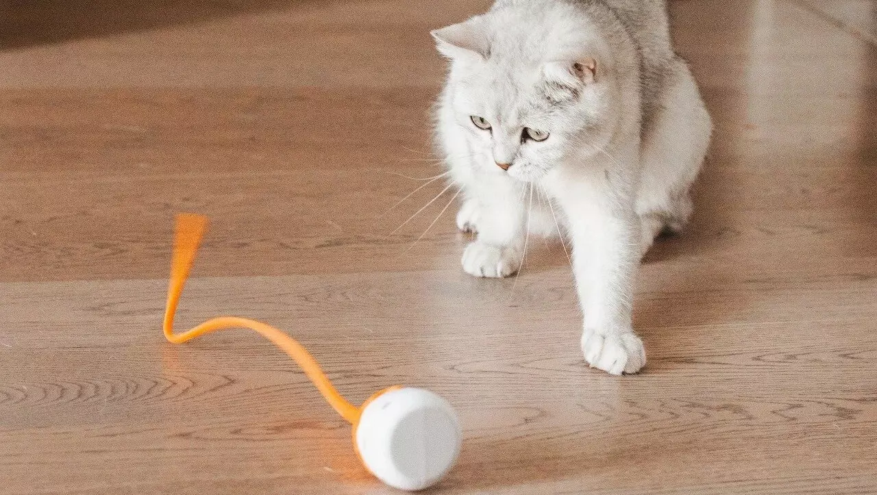 Интерактивная игрушка PET FLAT Magic Tail