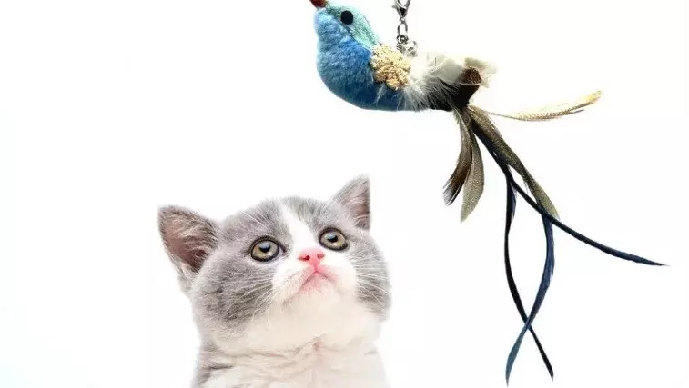 Многофункциональная игрушка-дразнилка для кошек